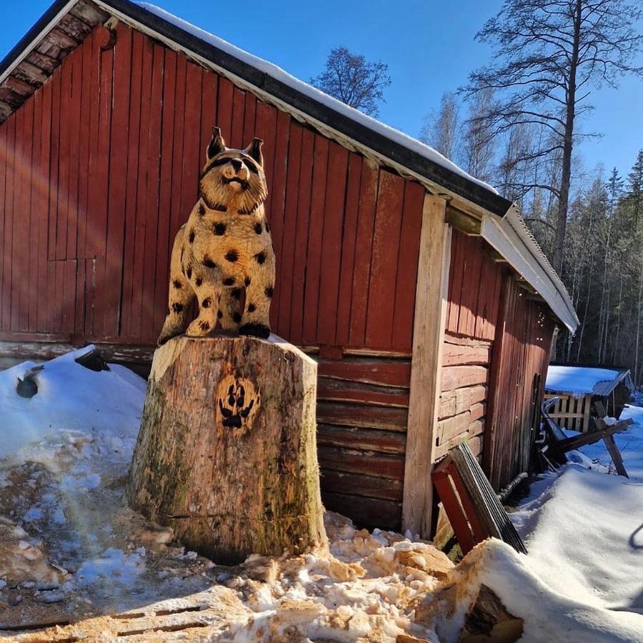فيلا Katiskosken Joenrantamoekki Hämeenlinna المظهر الخارجي الصورة